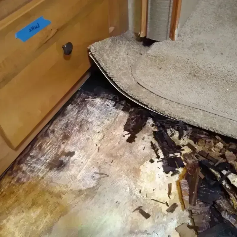 Wood Floor Water Damage in Norwalk, CA